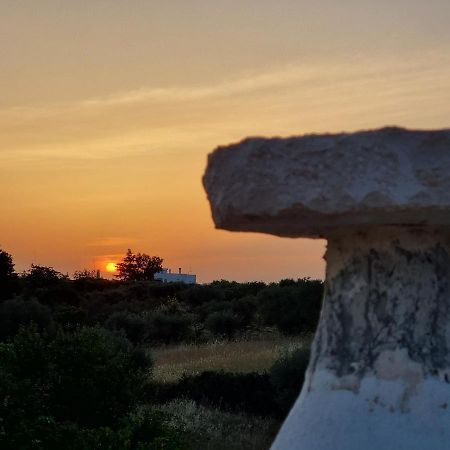 I Trulli di Nonna Maria Villa Alberobello Eksteriør billede