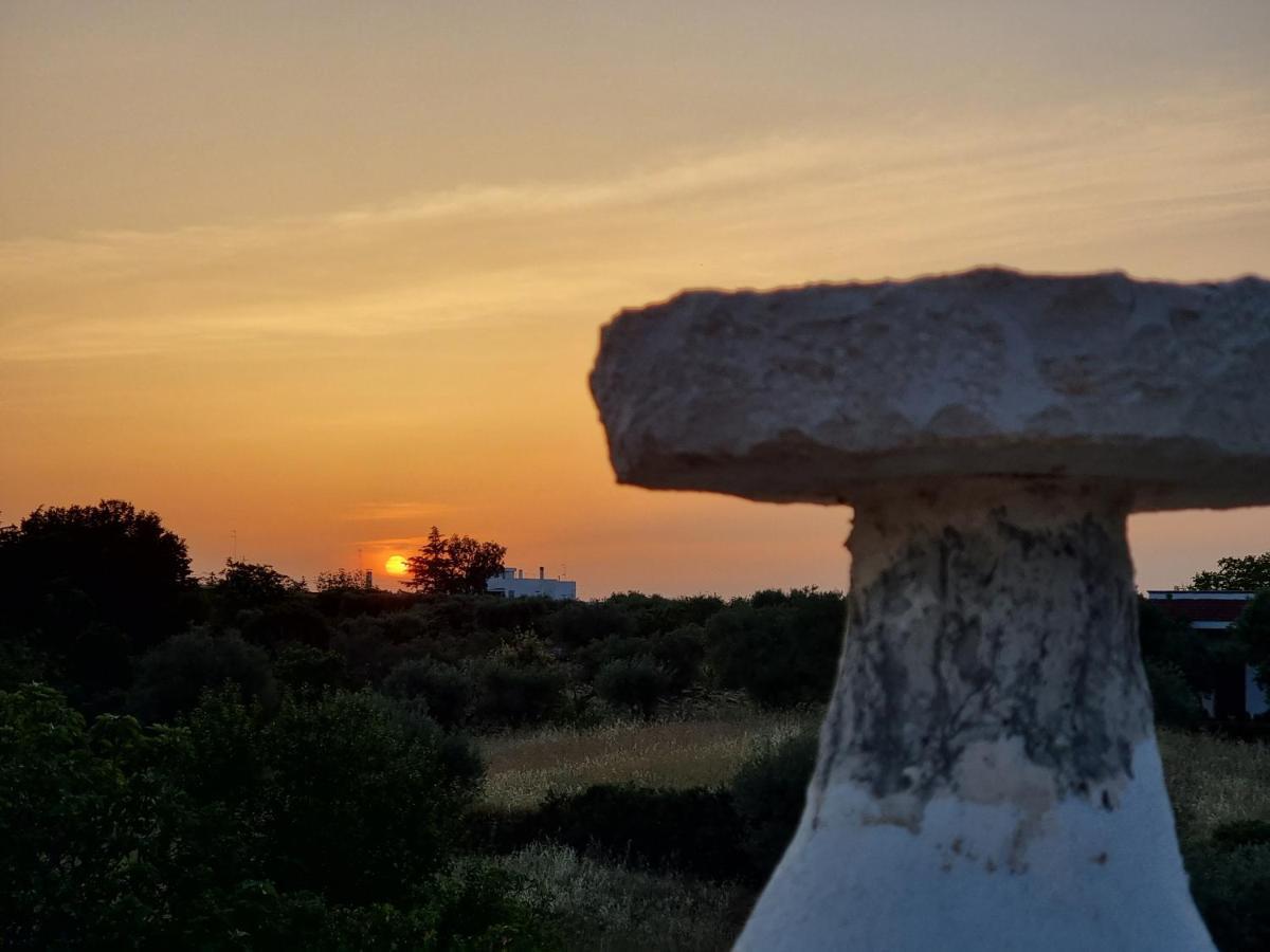 I Trulli di Nonna Maria Villa Alberobello Eksteriør billede